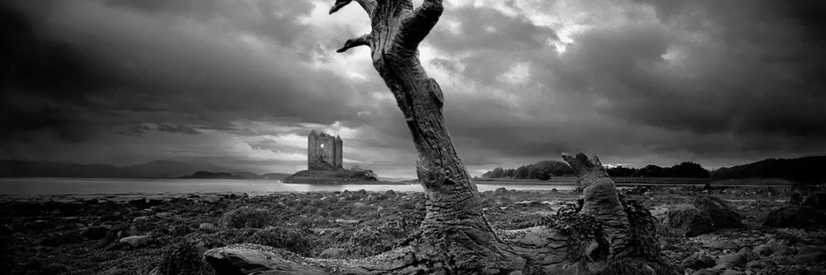 nature-black-white-zombie-hand-wallpaper-1